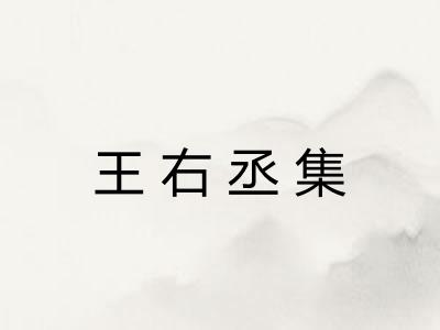 王右丞集 王右丞集