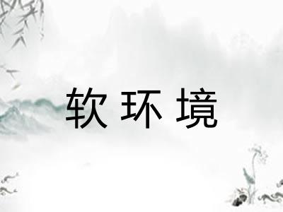软环境 软环境