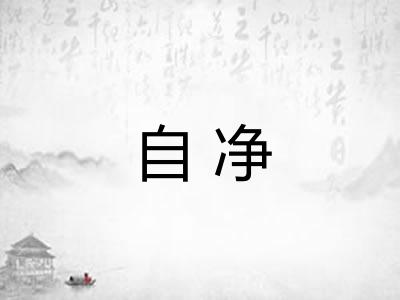 自净