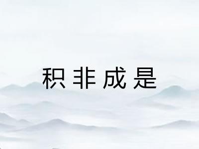 积非成是 积非成是