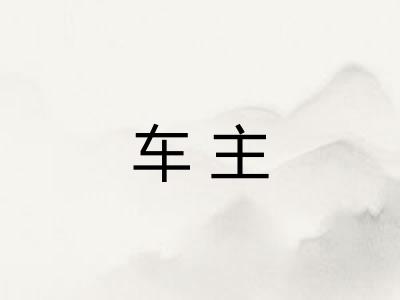 车主 车主
