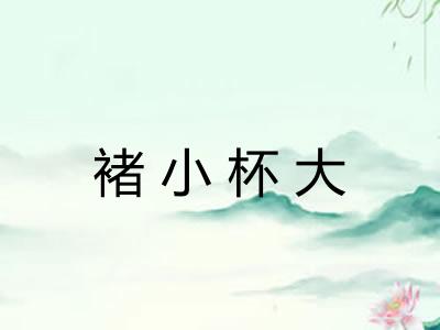 褚小杯大 褚小杯大