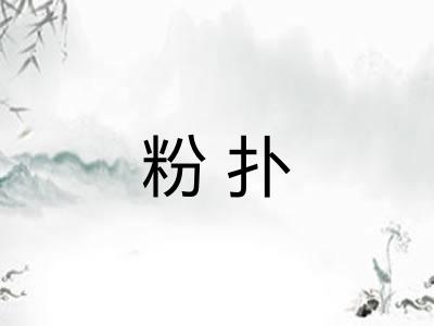 粉扑 粉扑