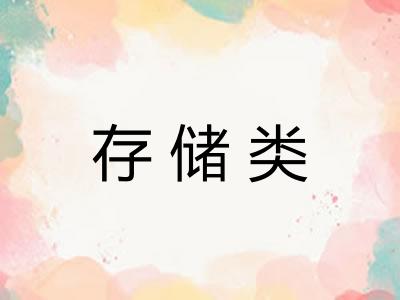 存储类