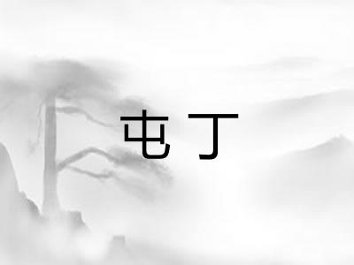 屯丁
