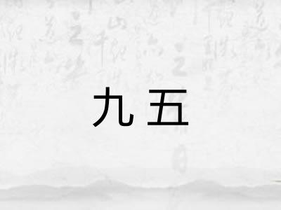 九五 九五