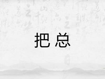 把总 把总