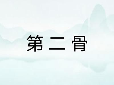 第二骨 第二骨