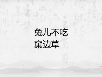 兔儿不吃窠边草 兔儿不吃窠边草