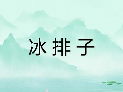 冰排子 冰排子