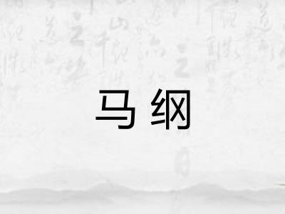 马纲 马纲