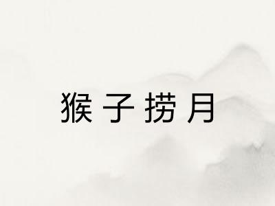 猴子捞月 猴子捞月