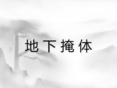 地下掩体 地下掩体