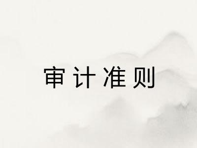 审计准则 审计准则
