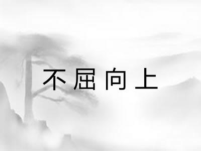不屈向上 不屈向上