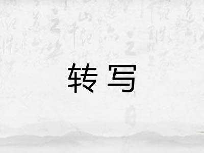 转写 转写