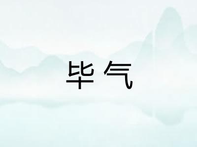 毕气 毕气