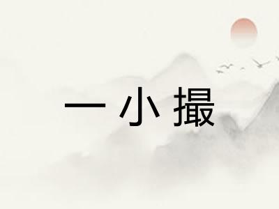 一小撮 一小撮