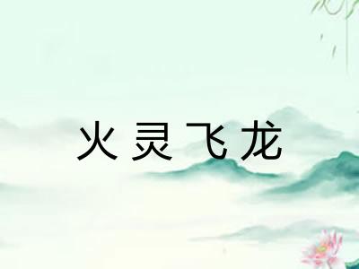 火灵飞龙