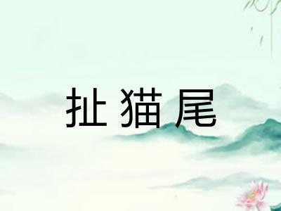 扯猫尾 扯猫尾