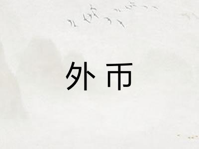 外币 外币