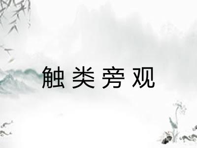 触类旁观 触类旁观