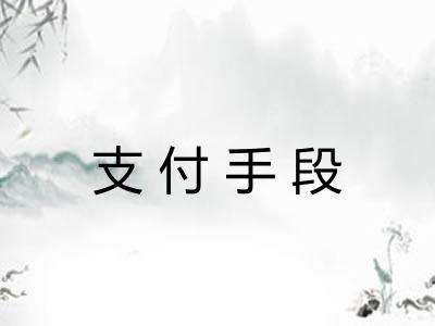 支付手段 支付手段