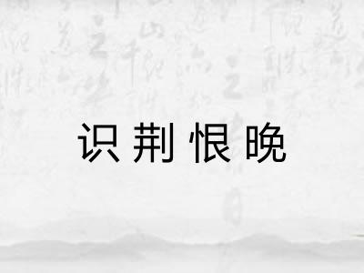 识荆恨晚