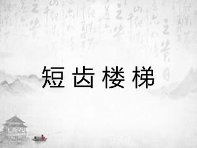 短齿楼梯 短齿楼梯