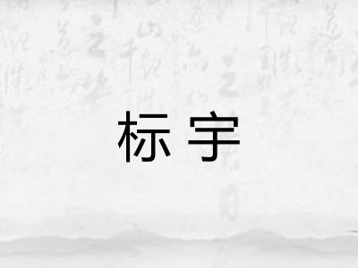 标宇 标宇