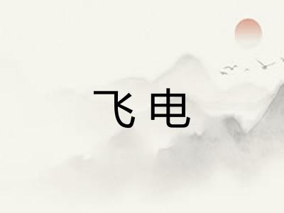 飞电 飞电