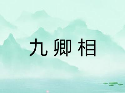 九卿相 九卿相