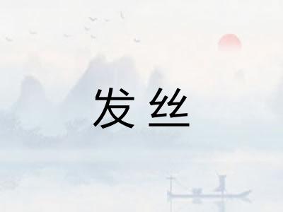 发丝 发丝