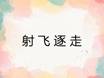 射飞逐走