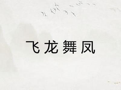 飞龙舞凤 飞龙舞凤