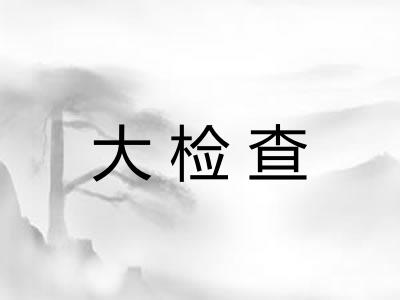 大检查