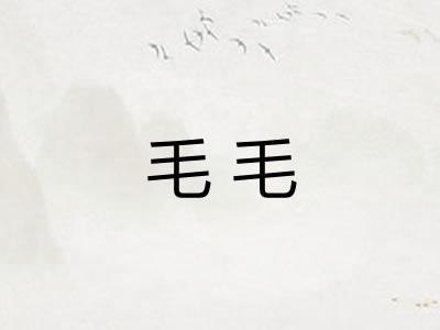 毛毛