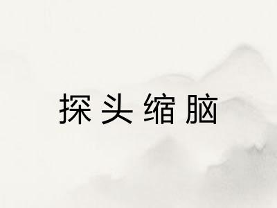 探头缩脑 探头缩脑