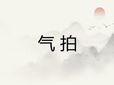 气拍 气拍