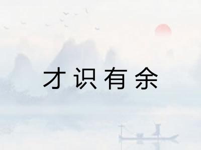 才识有余 才识有余