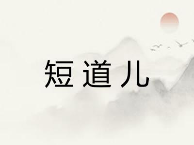 短道儿 短道儿