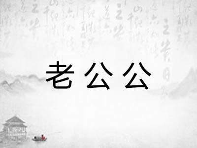 老公公
