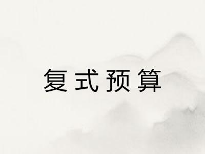 复式预算 复式预算