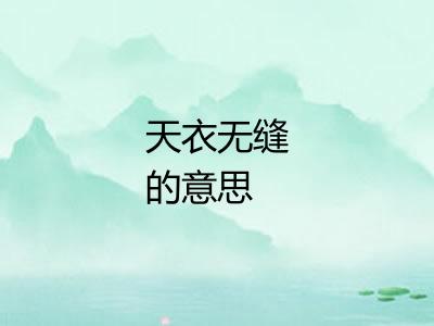 天衣无缝的意思