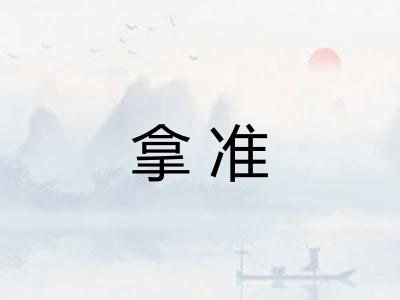 拿准 拿准