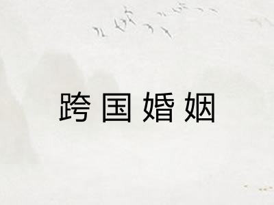 跨国婚姻 跨国婚姻