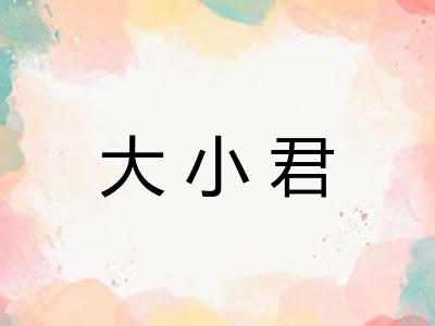 大小君 大小君