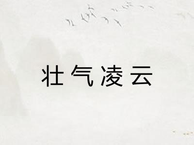 壮气凌云 壮气凌云