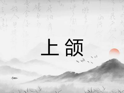 上颌 上颌