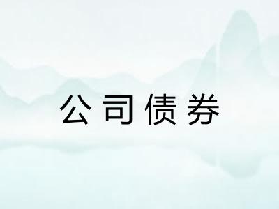 公司债券 公司债券